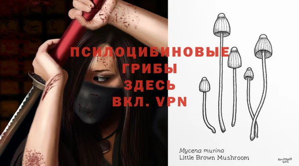 амф Ростов