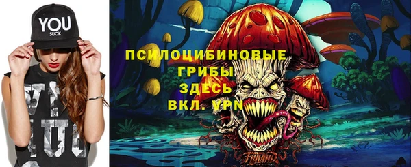 тгк Алексин