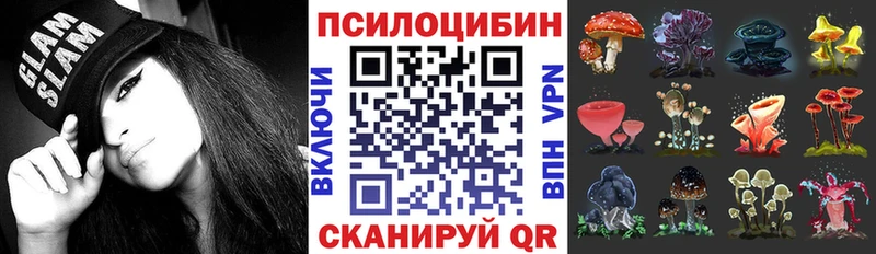 Псилоцибиновые грибы мухоморы Алексин