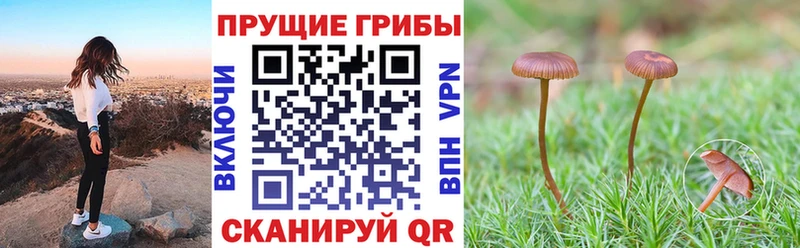 Псилоцибиновые грибы Magic Shrooms купить Алексин